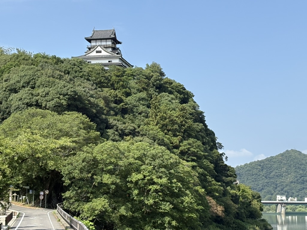 木曽川沿いから見た国宝犬山城
